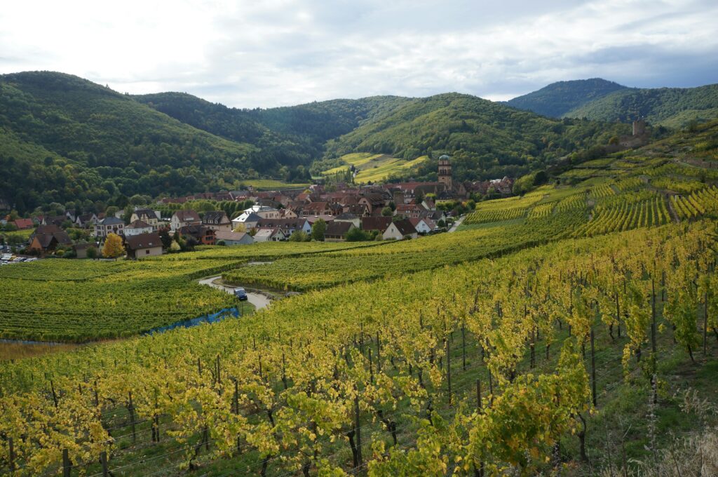 Alsace - Cecile Musy